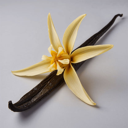 Bare Acre Whipped Grass-Fed Tallow Balm with Vanilla Bean