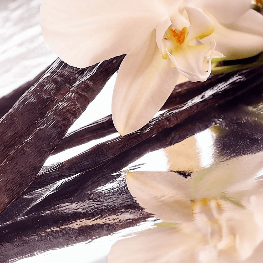 Bare Acre Whipped Grass-Fed Tallow Balm with Vanilla Bean